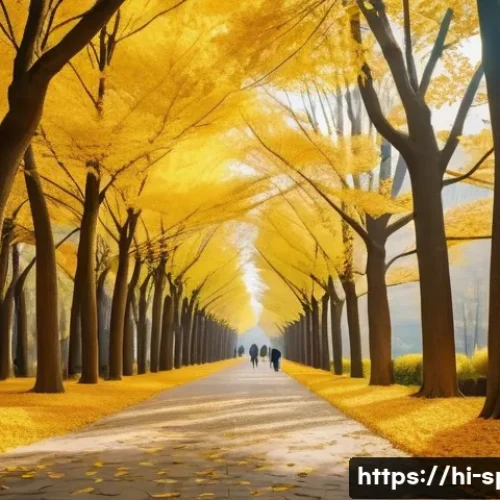 Home 32 홍천 은행나무숲 가을사진 - A serene autumn scene in Hongcheon’s Ginkgo Garden featuring tall ginkgo trees with vibrant yellow a...