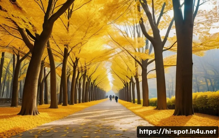 홍천 은행나무숲 가을사진 - A serene autumn scene in Hongcheon&rsquo;s Ginkgo Garden featuring tall ginkgo trees with vibrant yellow a...